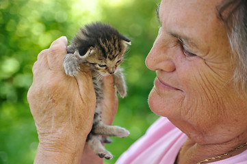 Image showing Senior woman holding little kitten