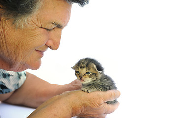 Image showing Senior woman holding kitten