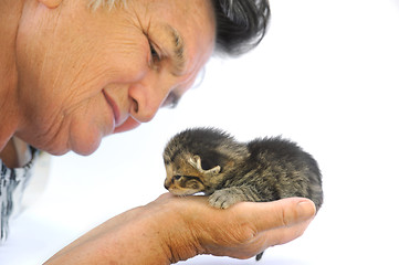 Image showing Senior woman holding kitten