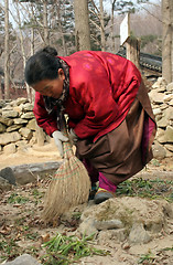 Image showing Old Korean woman gardening