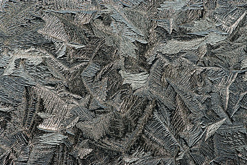 Image showing Hoarfrost on glass