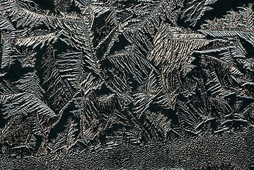 Image showing Hoarfrost on glass