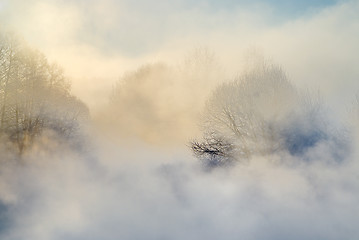 Image showing Frosty morning