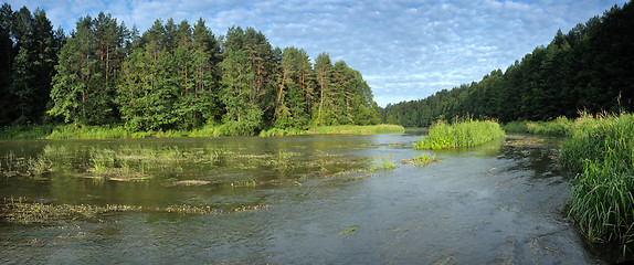 Image showing River Vilija panorama