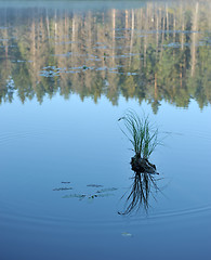 Image showing Wood lake