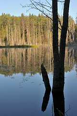 Image showing Wood lake