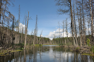 Image showing Wood lake