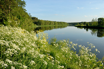 Image showing Flowers over the river