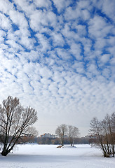 Image showing Clouds in the winter sky.