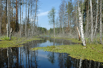 Image showing Wood lake