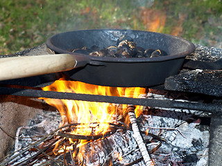 Image showing Barbecue