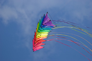 Image showing Rainbow stunt kites