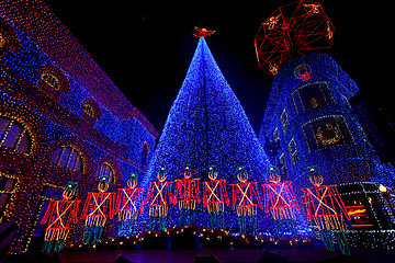 Image showing The Osborne Family Spectacle of Dancing Lights