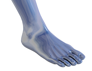 Image showing foot