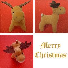 Image showing Christmas deer