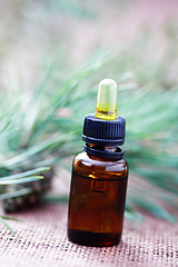 Image showing fir tree essential oil