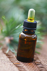 Image showing fir tree essential oil