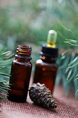 Image showing fir tree essential oil