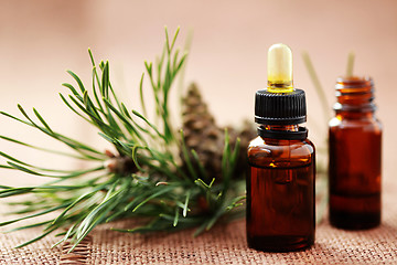 Image showing fir tree essential oil