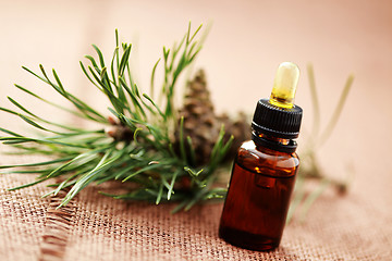 Image showing fir tree essential oil