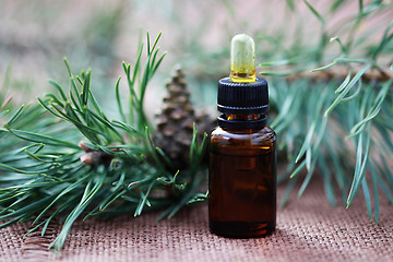 Image showing fir tree essential oil