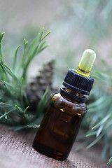 Image showing fir tree essential oil