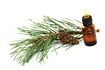 Image showing fir tree essential oil