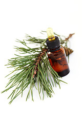 Image showing fir tree essential oil