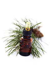 Image showing fir tree essential oil