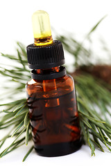 Image showing fir tree essential oil