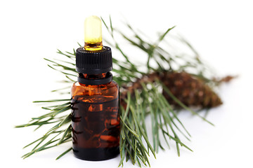 Image showing fir tree essential oil