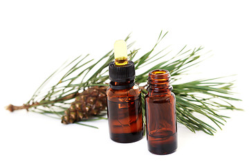 Image showing fir tree essential oil