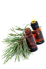 Image showing fir tree essential oil