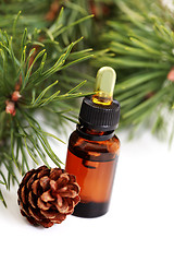 Image showing fir tree essential oil