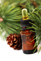 Image showing fir tree essential oil