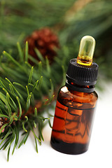 Image showing fir tree essential oil