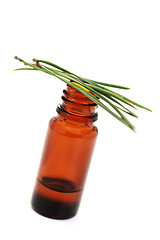 Image showing fir tree essential oil