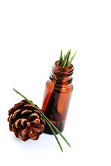 Image showing fir tree essential oil