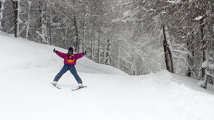 Image showing Skier