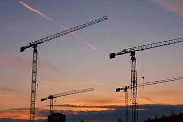 Image showing Cranes