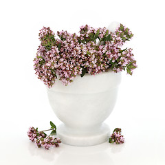 Image showing Thyme Herb Flowers