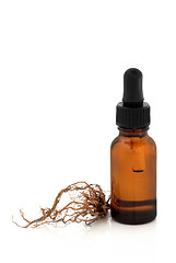 Image showing Valerian Root and Tincture Bottle