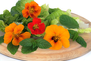 Image showing Nasturtian  Flower and Herb Salad