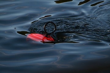 Image showing Buoy