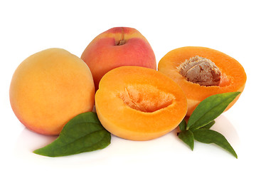 Image showing Apricot Fruit