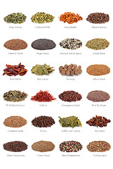 Image showing Spice and Herb Collection