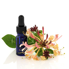 Image showing Honeysuckle Flower Essence
