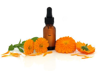 Image showing Calendula Flower Essence