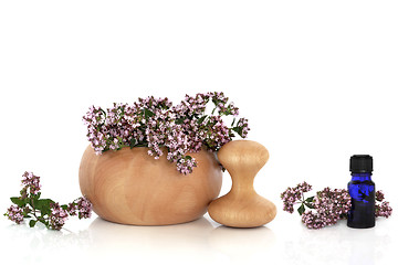 Image showing Marjoram Herb with Flowers