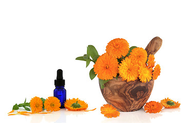 Image showing Marigold Flower Essence